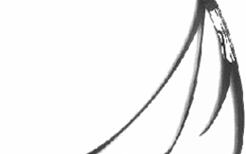 1_864.png
