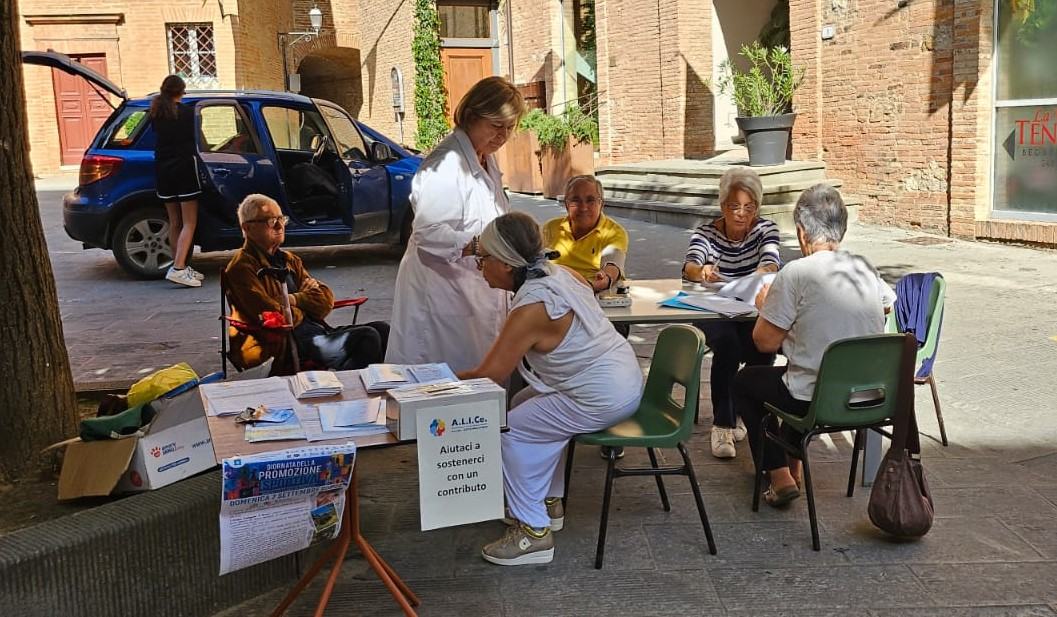 Le attività di A.L.I.Ce. sul territorio