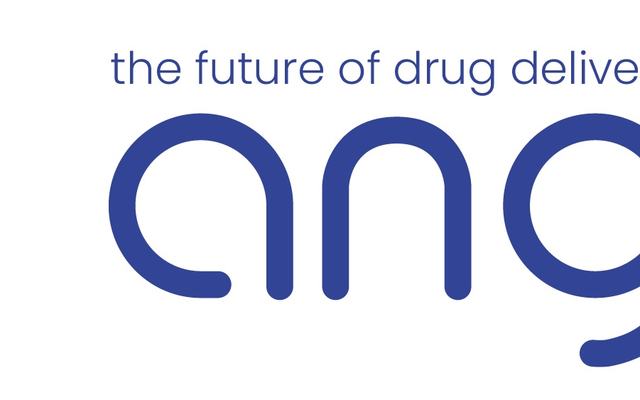 ANGIE Logo [colour] 1.jpg