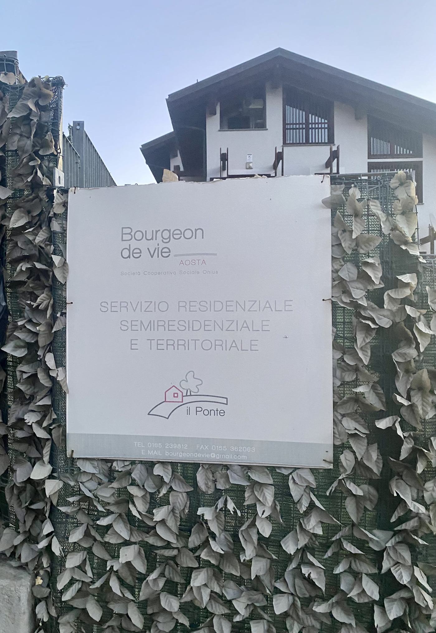 Bourgeon de vie.jpg
