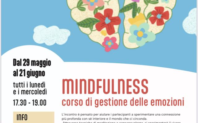 IMG_502MINDFULNESS
