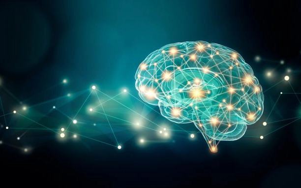 Neuroscienze.webp