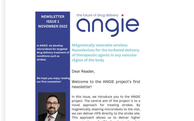 Project Results – ANGIE.png