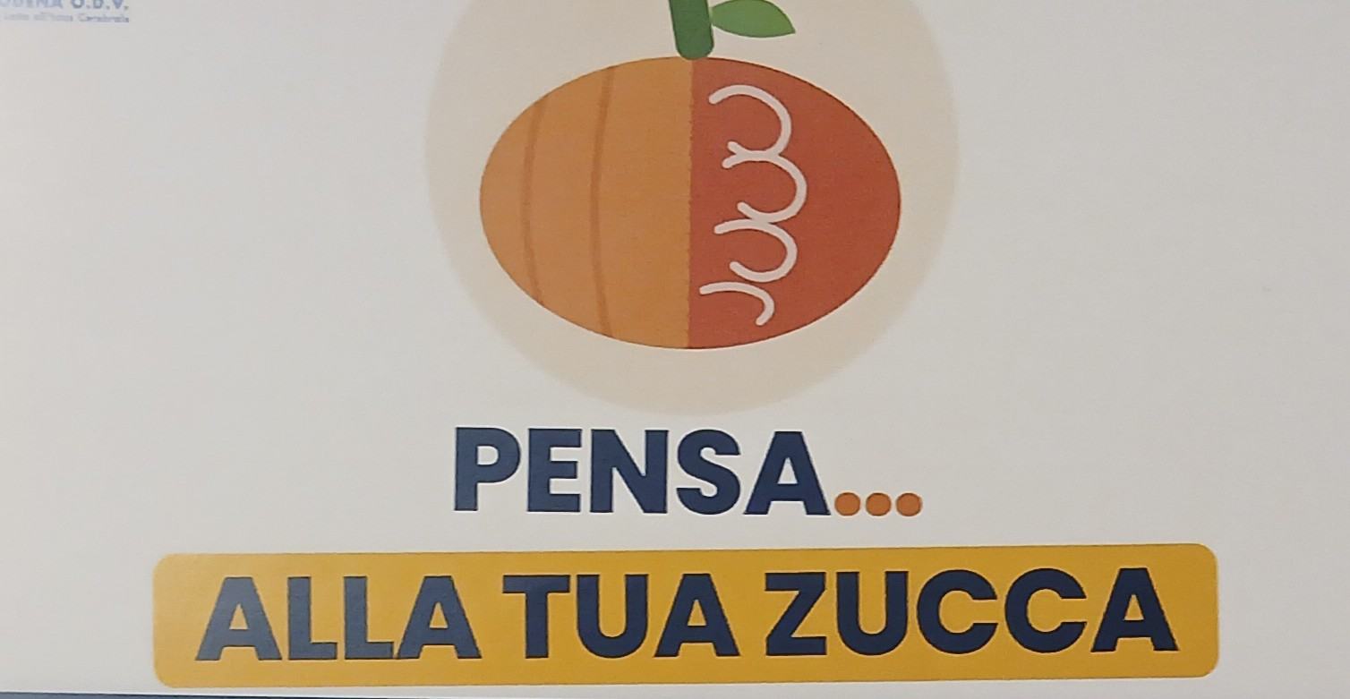 Banchetto informativo e raccolta fondi - Ospedale di Baggiovara - Mercoledì 11 Novembre 2026