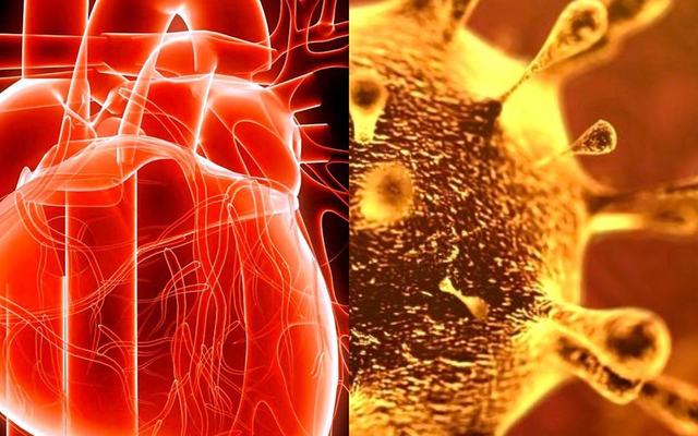 coronavirus_cuore.jpg