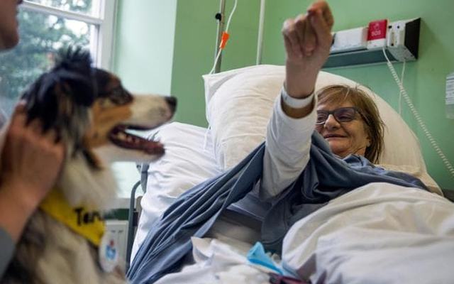 La Stampa Dopo un ictus il cane può fare la differenza - immagine 1