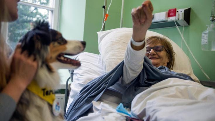 La Stampa Dopo un ictus il cane può fare la differenza - immagine 1