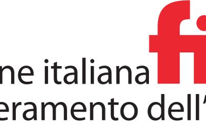 lavoro e disabilità.png