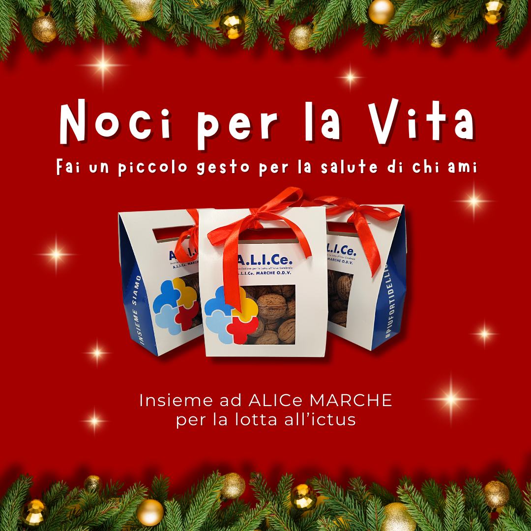 noci sito