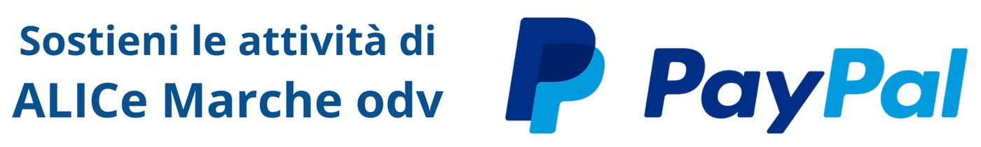 paypal x sito