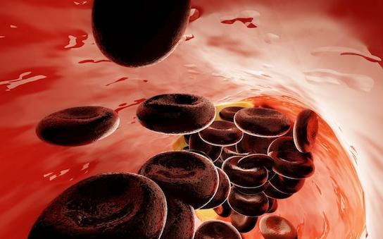 Sole 24Ore Cuore, una svolta dalla ricerca - immagine 1