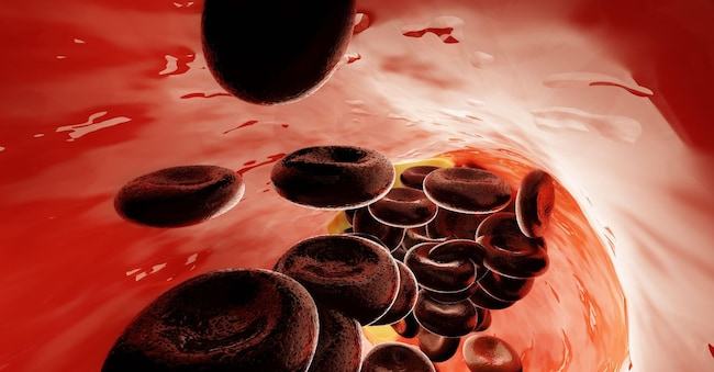 Sole 24Ore Cuore, una svolta dalla ricerca - immagine 1