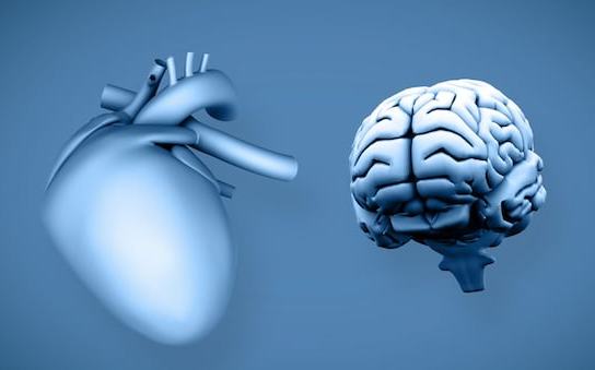 Sole 24Ore Infarto e ictus, ecco il vademecum italiano per gestire le sindromi coronariche acute - immagine 1