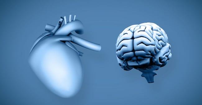 Sole 24Ore Infarto e ictus, ecco il vademecum italiano per gestire le sindromi coronariche acute - immagine 1