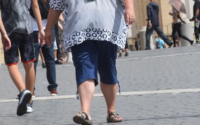 Sole24 Ore Obesità, la legge italiana primato da tradurre in un modello per l’Europa - immagine 1