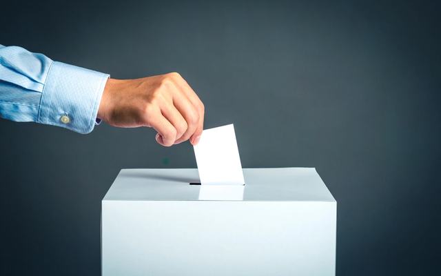voto.webp